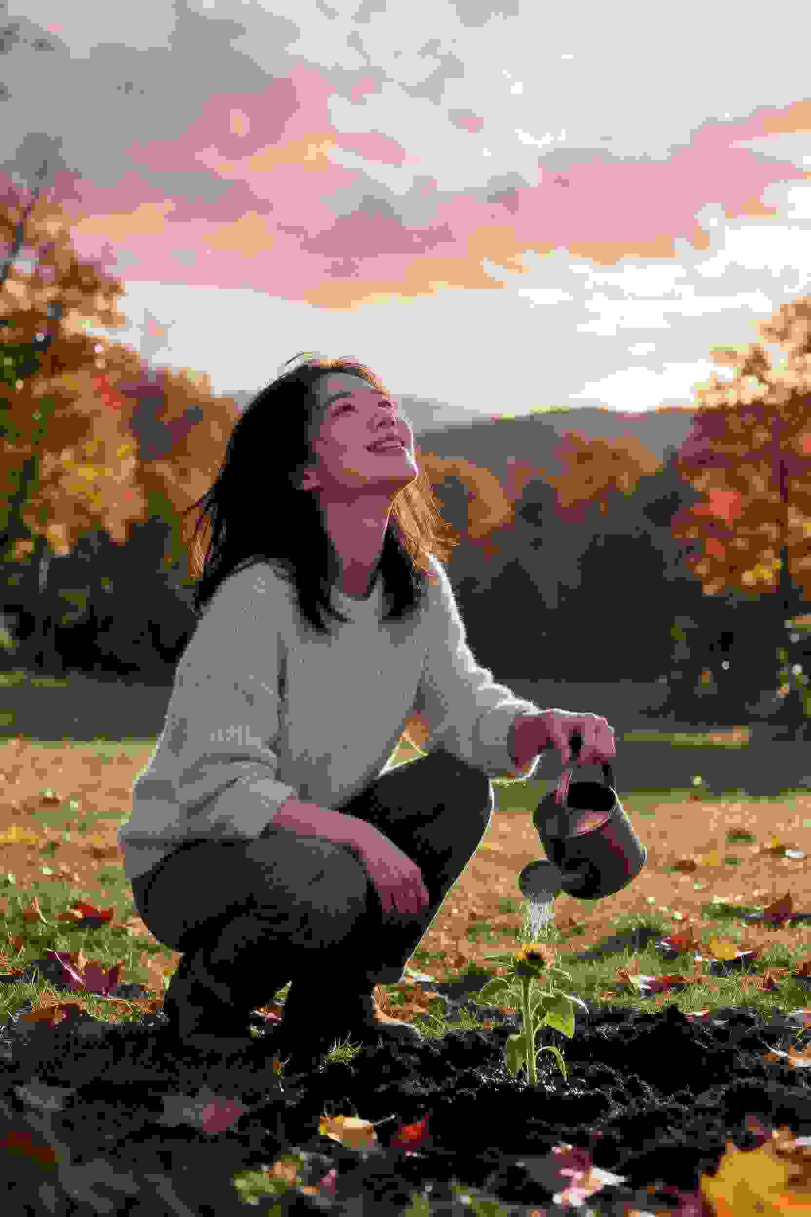 花园秘密